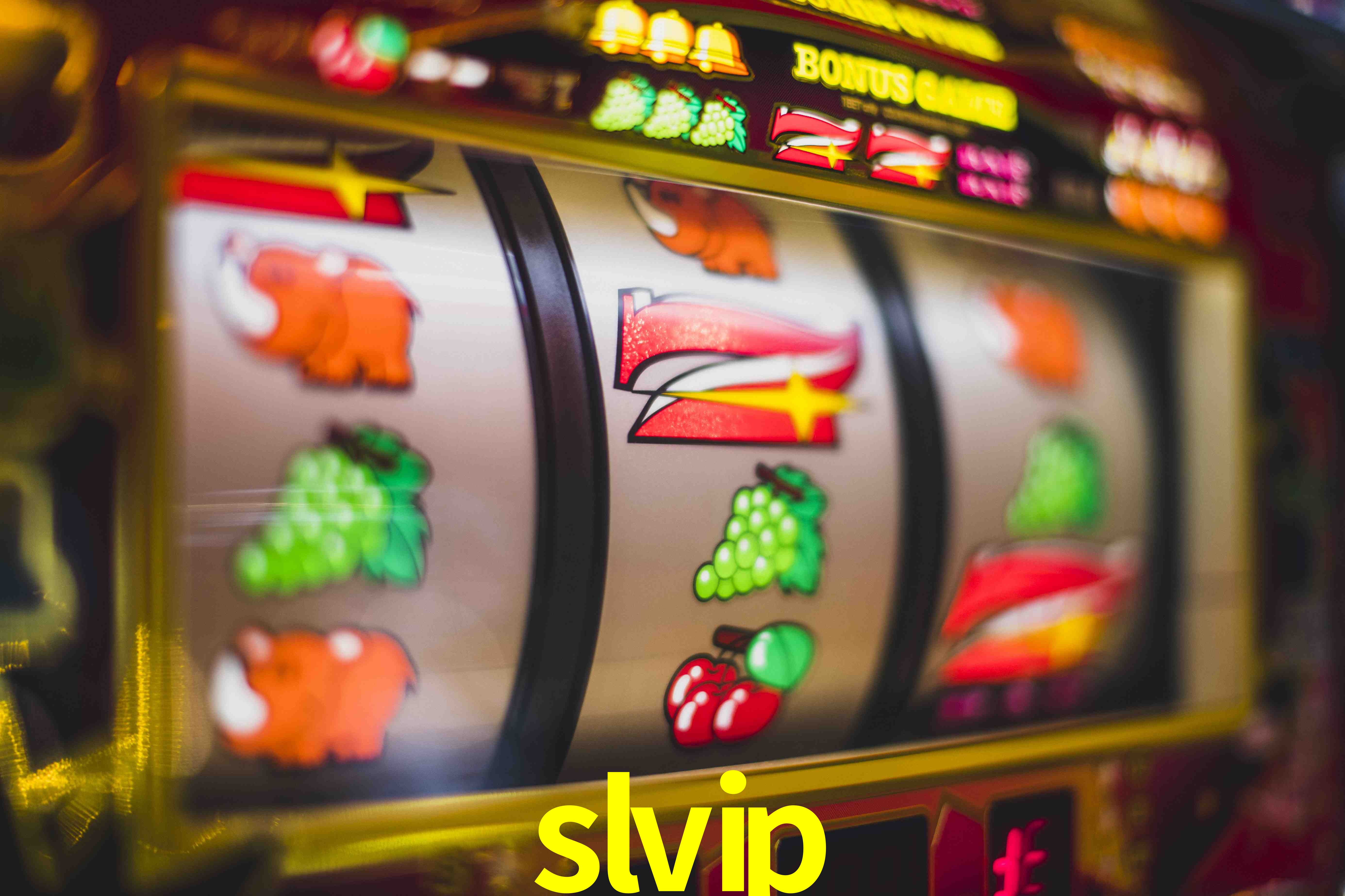 Statistics slvip
